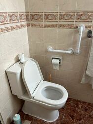 Lakeside Tower (D22), Apartment #448958211